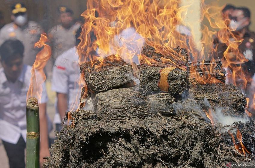  Police destroy over a ton of drugs in Aceh crackdown