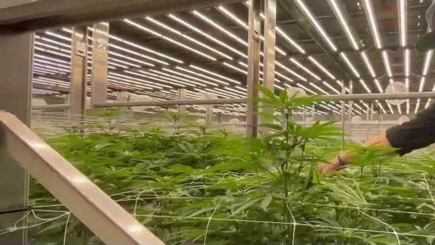  Recreational marijuana sales start in Ohio this week