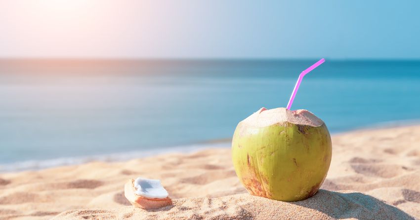  Is Coconut Water Actually Good For You? We Asked 2 RDs