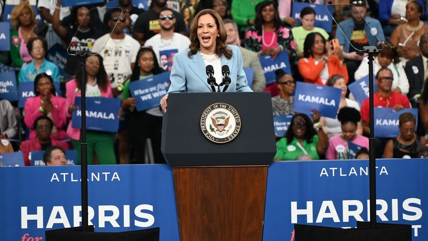  The Most Heinous Claims About Kamala Harris Made By Trump Supporters