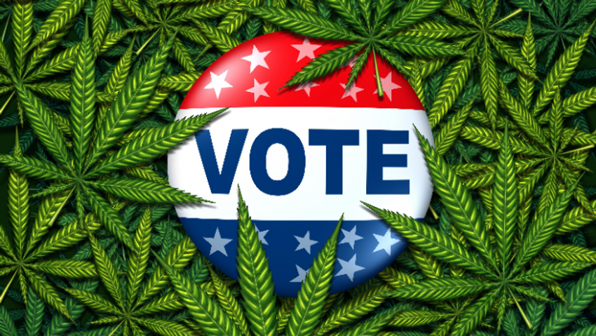  Marijuana Really Is on the Ballot This November