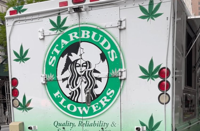  The Daily Heller: Starbuds’ Mobile Head Shop Infringes on Starbucks’ Head Mark