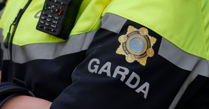  Two men arrested following discovery of suspected cannabis and cocaine worth more than €550,000