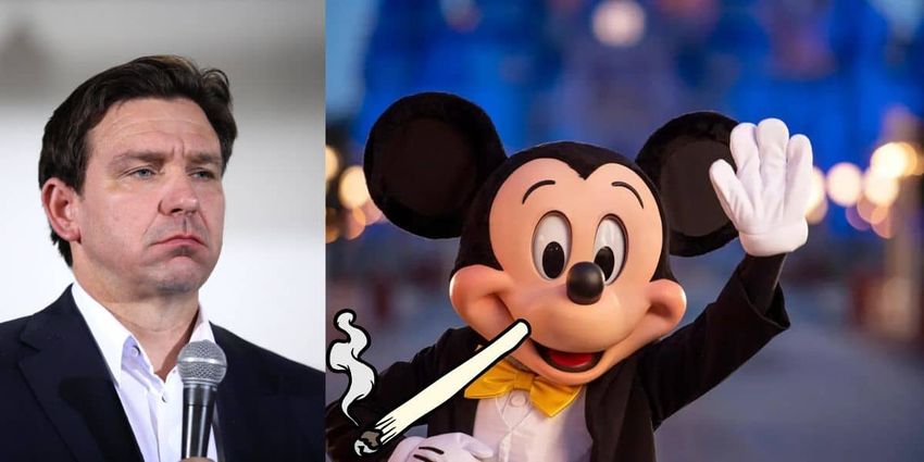  DeSantis and His Billionaire Backer Really Don’t Want You Smoking Weed on Your Next Disney World Vacation