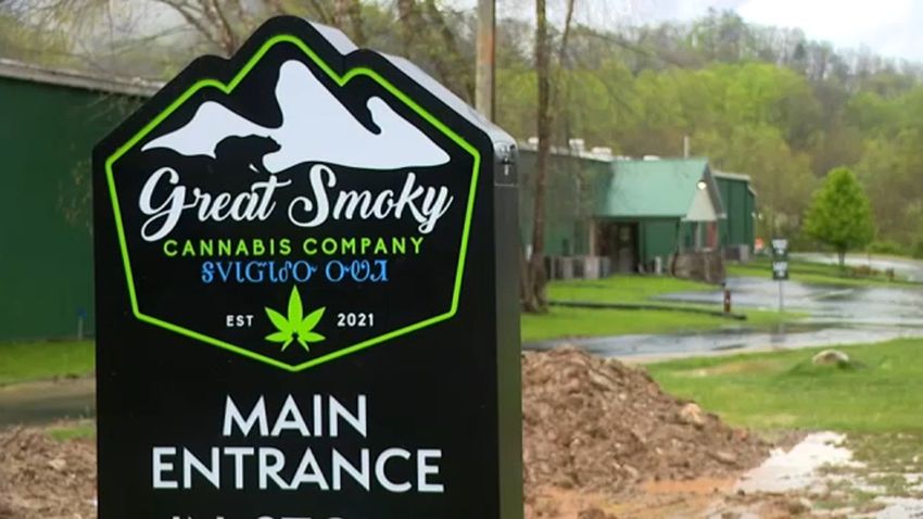  Cherokee marijuana business in North Carolina to begin sales to any adult in September