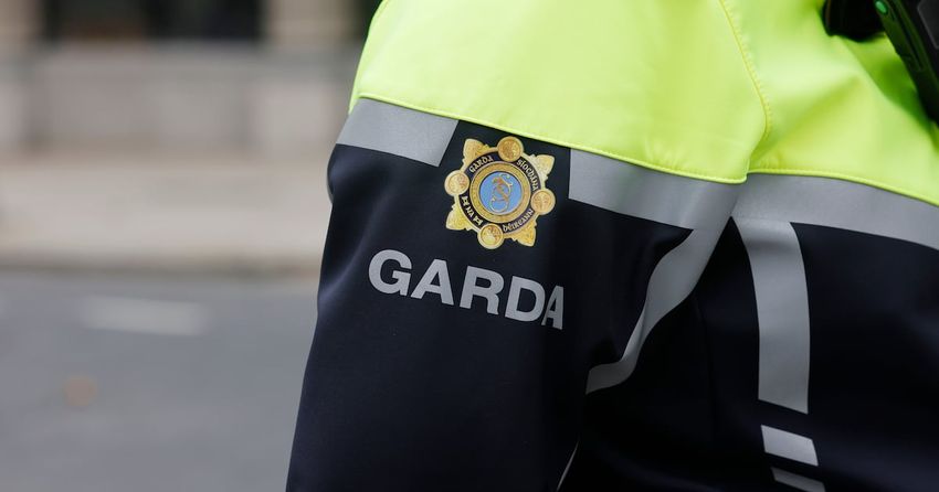  Man arrested after large cannabis seizure in Cork