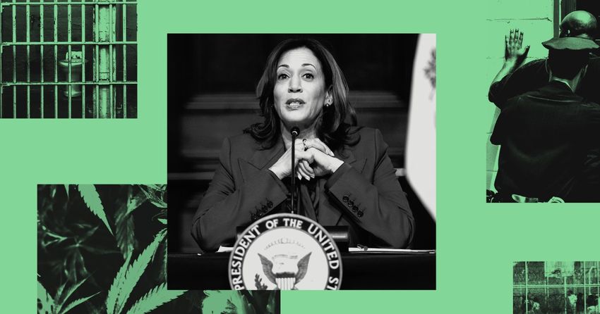  What Drug Policy Advocates Want to See From a Kamala Harris Administration