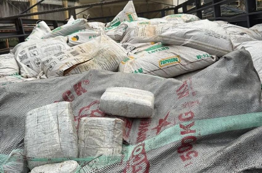  Customs uncover 2,280 wraps of cannabis concealed in sawdust