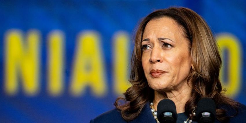  Kamala Harris must give interviews to prevail over ‘corrupt, felonious rival’: journalist