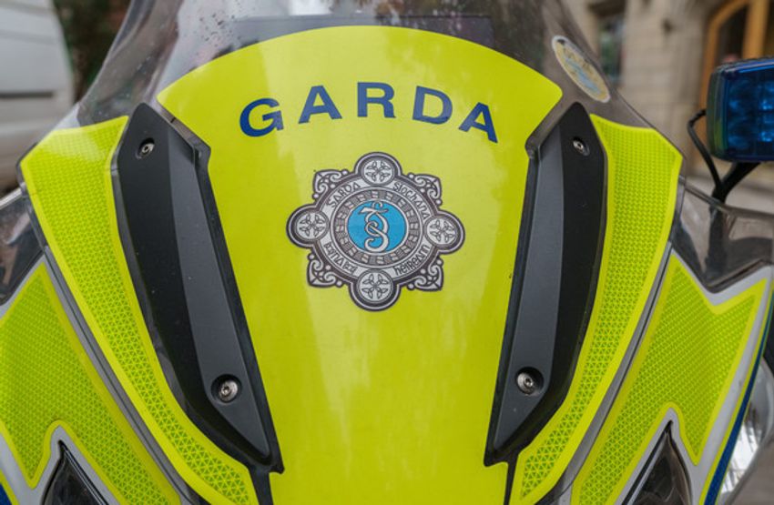  Cannabis worth €240,000 seized in Cork, man in his 20s arrested