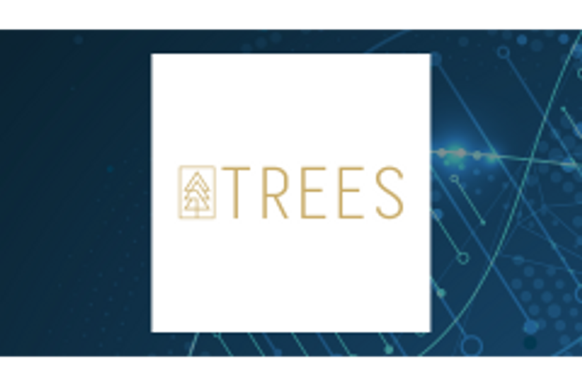  Trees (OTCMKTS:CANN) Share Price Crosses Below 50 Day Moving Average of $0.06