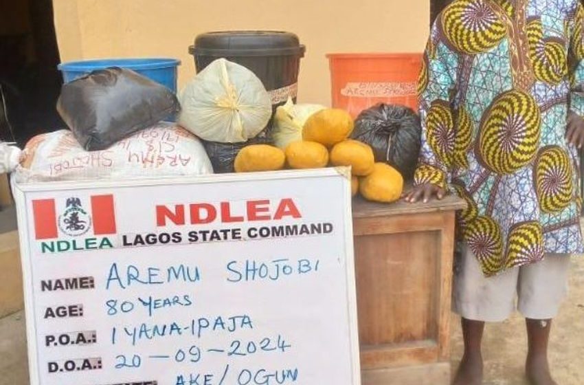  NDLEA arrests 80-year-old grandpa with drugs, intercepts N14.9bn opioids