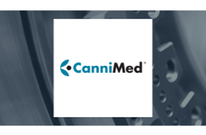  CanniMed Therapeutics (TSE:CMED) Stock Price Down 5.3%