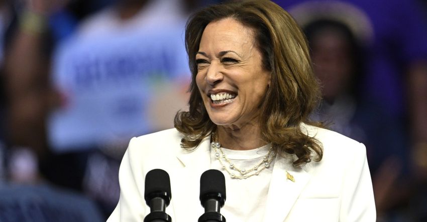  Harris is swimming in cash — but Democrats may still have a fundraising problem