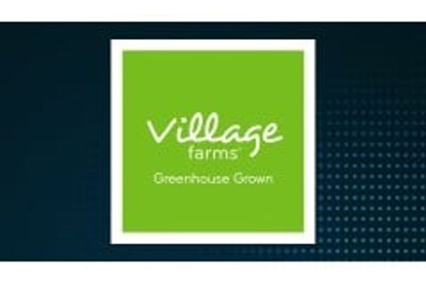 Village Farms International, Inc. (TSE:VFF) Director Sells C$16,296.94 in Stock