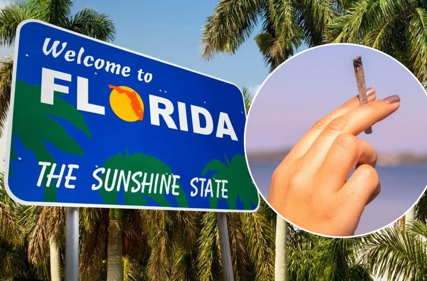  Why Florida could end up with the same issues as NY if it makes pot legal