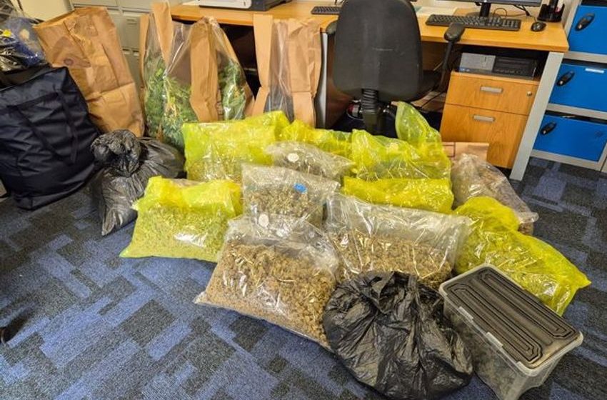  Man (20s) due in court after gardaí seize suspected cannabis worth €350k in Co Monaghan