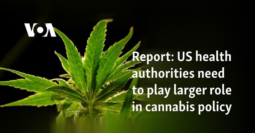  Report: US health authorities need to play larger role in cannabis policy