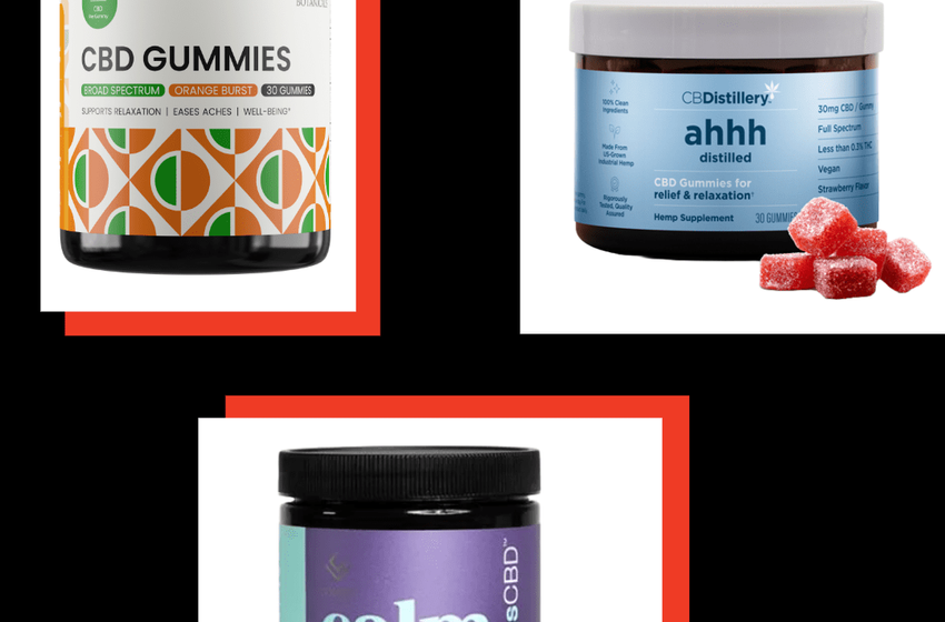  5 Strongest CBD Gummies: Best CBD Gummies of 2024