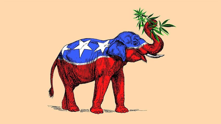  How The Republican Party Learned To Love Cannabis Legalization