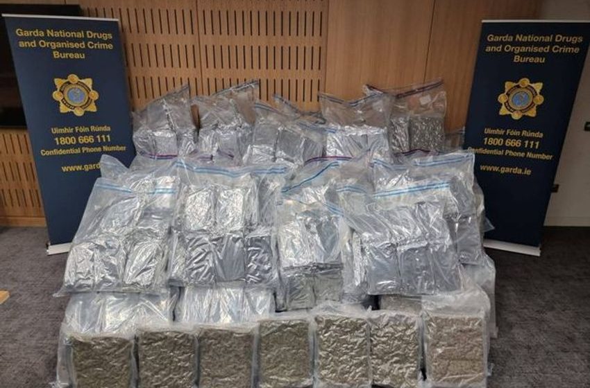  Four men arrested after cannabis worth €8.5m found at business in Tallaght