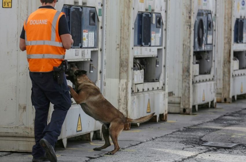  Dozens jailed in Belgium drug smuggling mega-trial