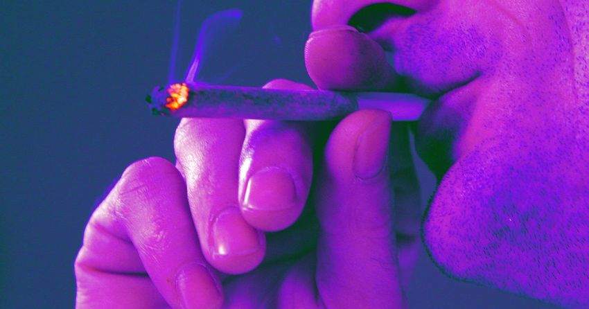  California Greenlights Amsterdam-Style Weed Cafes Where You Can Get Stoned Without Getting the Munchies