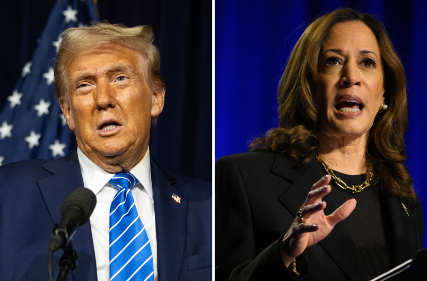  Kamala Harris Could Beat Donald Trump in Florida, Ex-RNC Chair Says