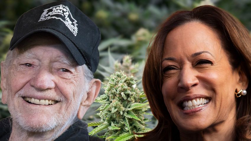  Willie Nelson Organizes Cannabis Community Event to Support Kamala Harris