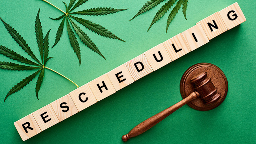  NORML Files Notice of Intent to Participate in DEA’s Marijuana Rescheduling Hearing