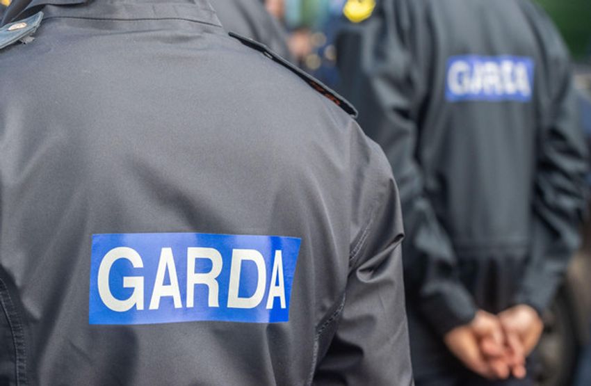  More than 400 kilos of cannabis with estimated street value of €8.5 million seized in Dublin