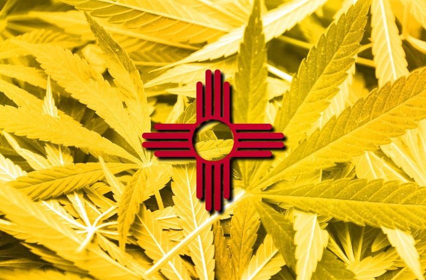  New Mexico Cannabis Advocates Call For Tighter Regulations