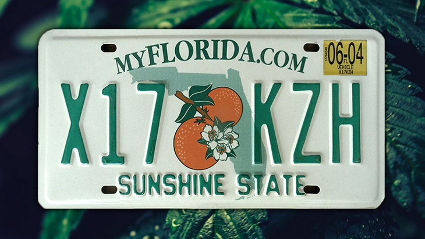  NORML Op-Ed: Cast the Fear-Mongering Aside — The Sky Won’t Fall if Florida Legalizes Marijuana