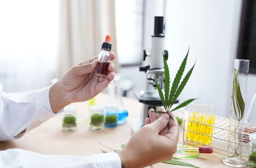  Cannabis Compounds Show ‘Promising Potential As Anti-Cancer Agents’