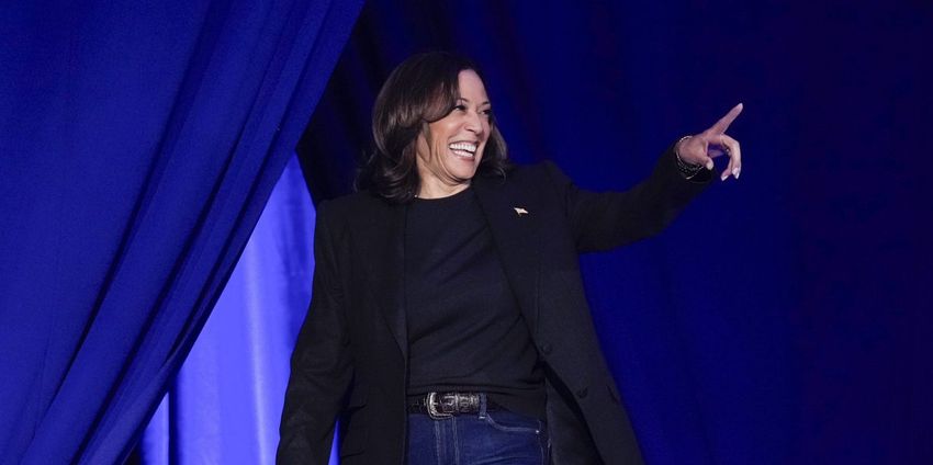  After Major Industry Donor Pops Up, Harris Makes Bizarre Proposal: Crypto for Black Men