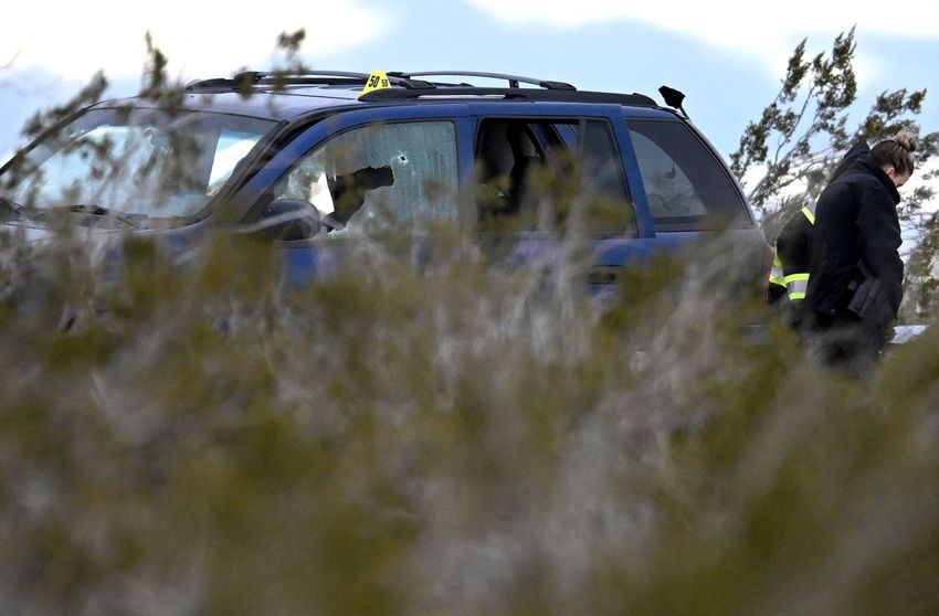  ‘Plague’ of black market marijuana resulting in violence, San Bernardino County sheriff says