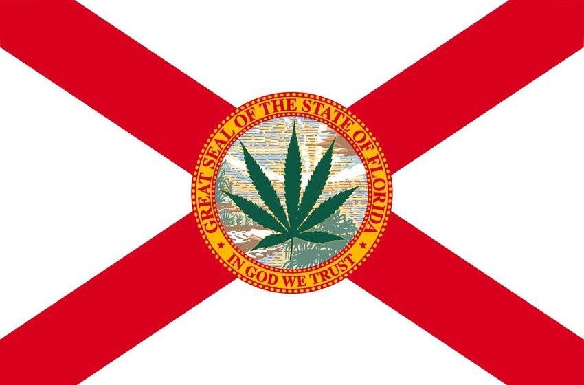  New Poll Shows 66% Of Voters Support Florida Weed Legalization Bid