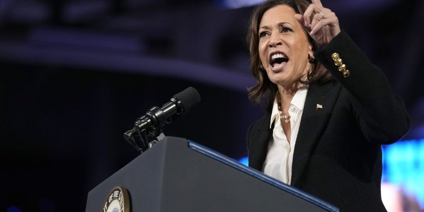  Harris lays out economic empowerment plan for Black men as she looks to energize voters