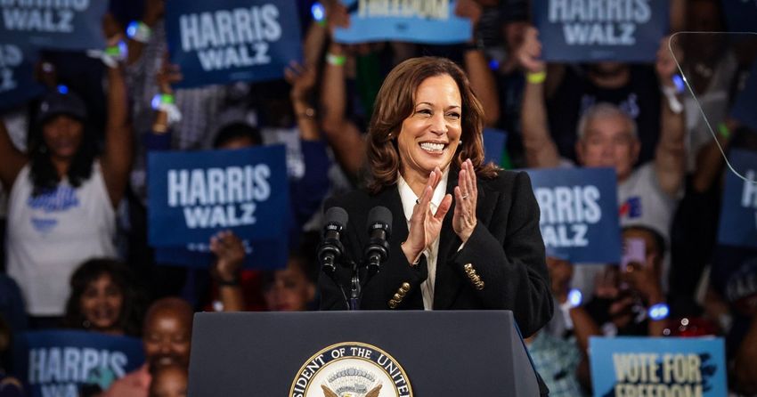  Kamala Harris unveils proposals for Black men as Election Day nears