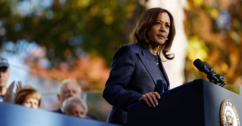  The Collapse of Kamala Harris