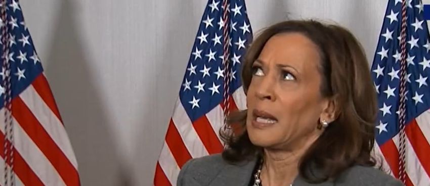  JOSH HAMMER: The Collapse Of Kamala Harris