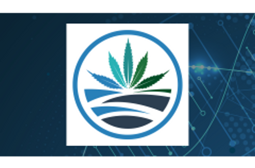  Analyzing Raia Drogasil (OTCMKTS:RADLY) and High Tide (NASDAQ:HITI)