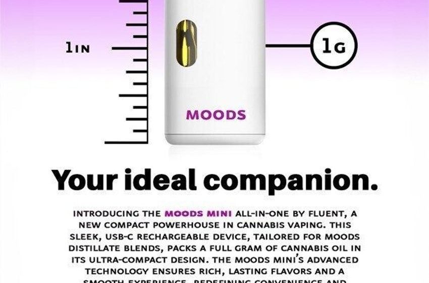  Mood-Based Terpene-Rich Cannabis Lines – RIV Capital & Cansortium Introduce MOODS Cannabis (TrendHunter.com)