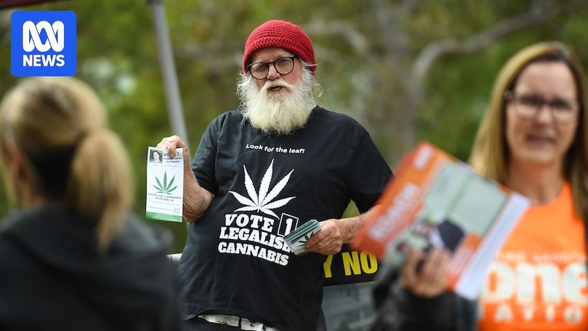  Labor preferences Legalise Cannabis Queensland ahead of Greens in 28 electorates