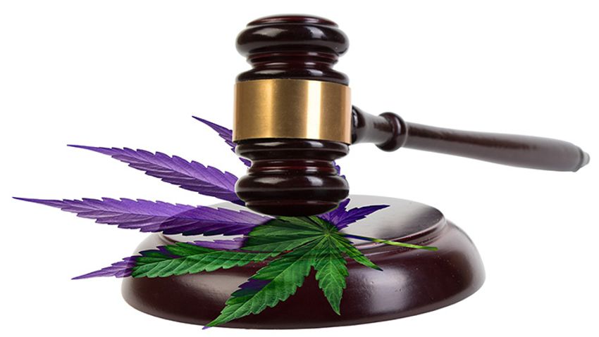  Arkansas: Supreme Court Rules Against Medical Marijuana Ballot Measure