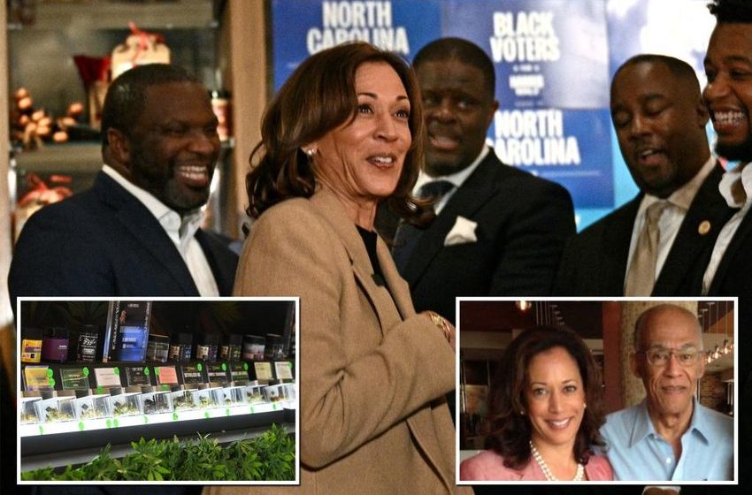  Kamala Harris urges black men to vote for her to legalize weed — despite convicting 1,900 as DA