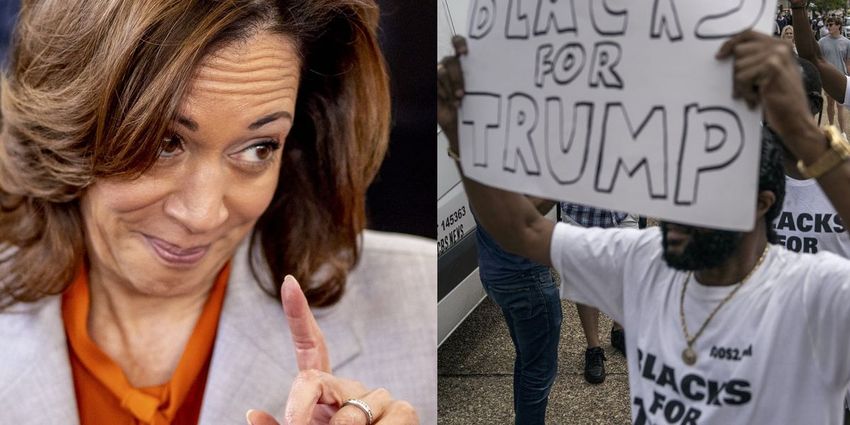  After promising ‘Opportunity Agenda’ for black men, Harris campaign says program will be open to all races