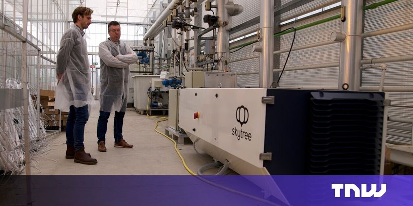  Dutch carbon capture startup Skytree opens offices in US, Canada