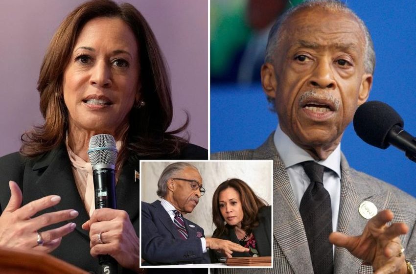  Harris refuses to push back on suggestion she’s ‘too progressive’ during Al Sharpton interview