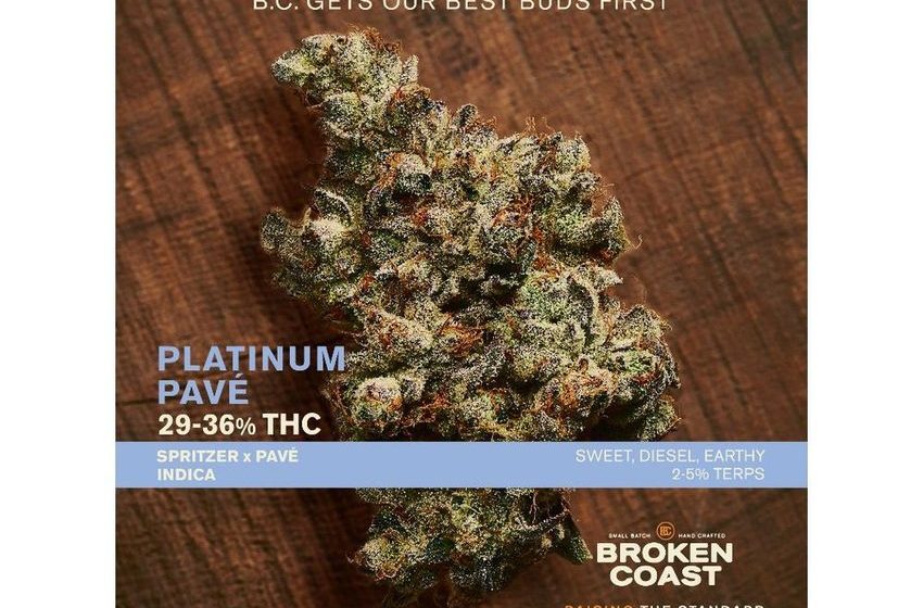  The Broken Coast Difference: Tilray Brands’ Broken Coast Craft Cannabis Introduces New Premium Strain ‘Platinum Pavé’